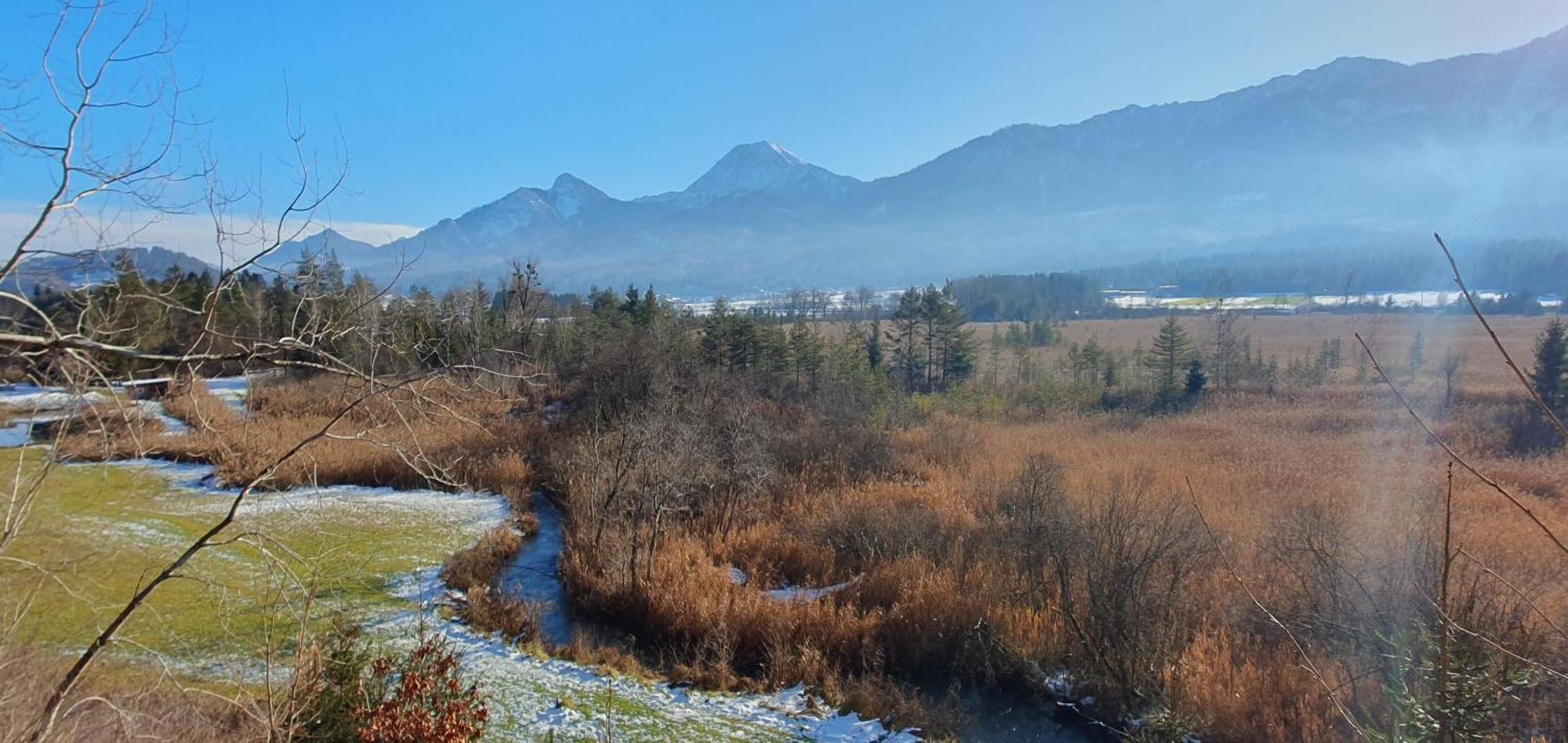 Das Stille Paradies Ledenitzen Extérieur photo
