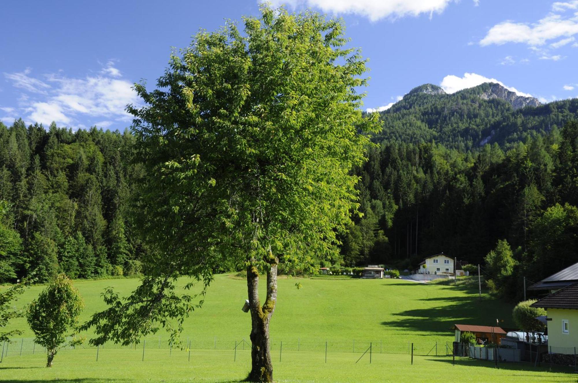 Das Stille Paradies Ledenitzen Extérieur photo